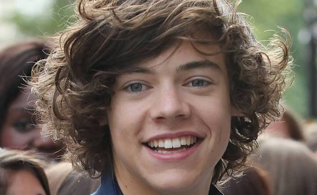 Harry_Styles_772739653