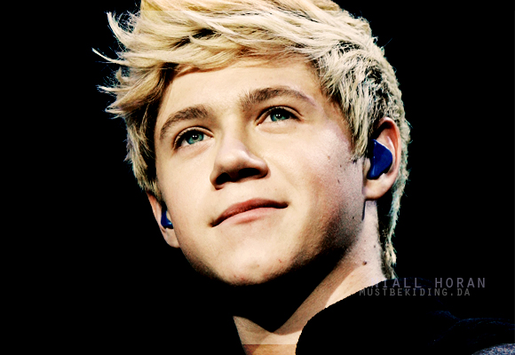 niall_horan__display_1_by_mustbekiding-d3d1qpl