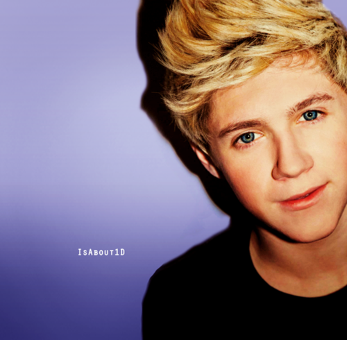 xXx-Niall-xXx-niall-horan-25508955-500-490