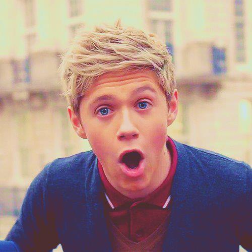 Niall-Horan-niall-horan-29915349-500-500