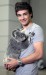 liam-payne-koala